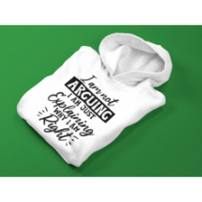 I'm Not Arguing Hoodie